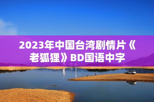 2023年中国台湾剧情片《老狐狸》BD国语中字