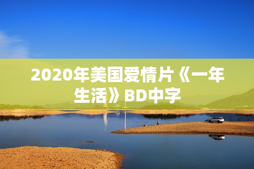 2020年美国爱情片《一年生活》BD中字