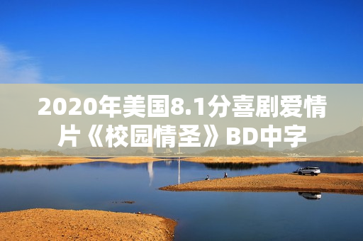 2020年美国8.1分喜剧爱情片《校园情圣》BD中字