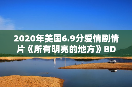 2020年美国6.9分爱情剧情片《所有明亮的地方》BD中字