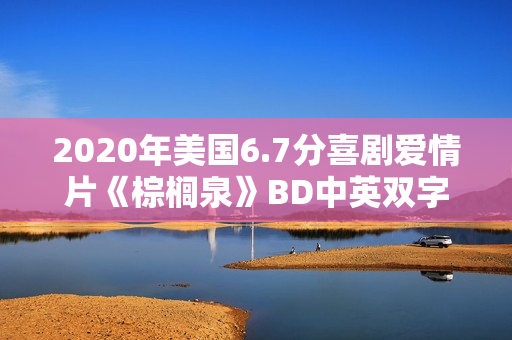 2020年美国6.7分喜剧爱情片《棕榈泉》BD中英双字