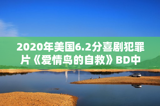 2020年美国6.2分喜剧犯罪片《爱情鸟的自救》BD中字