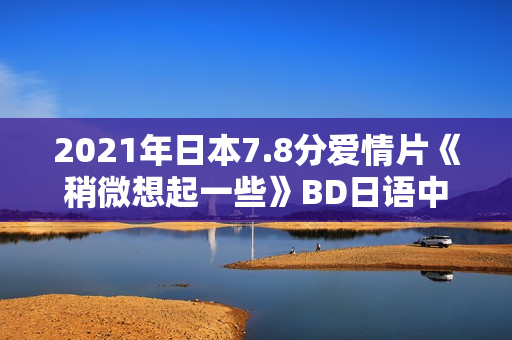 2021年日本7.8分爱情片《稍微想起一些》BD日语中字