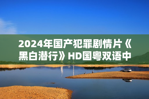 2024年国产犯罪剧情片《黑白潜行》HD国粤双语中字
