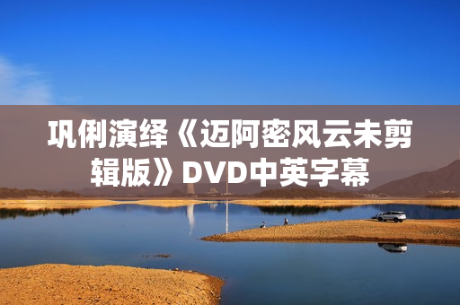 巩俐演绎《迈阿密风云未剪辑版》DVD中英字幕 巩俐演绎《迈阿密风云未剪辑版》DVD中英字幕