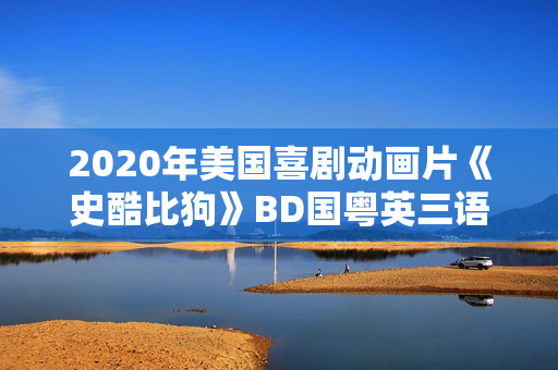 2020年美国喜剧动画片《史酷比狗》BD国粤英三语中英双字