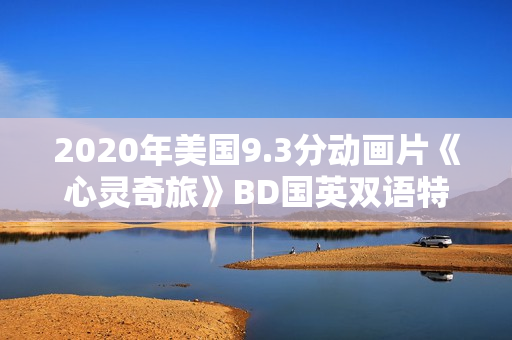 2020年美国9.3分动画片《心灵奇旅》BD国英双语特效中英双字