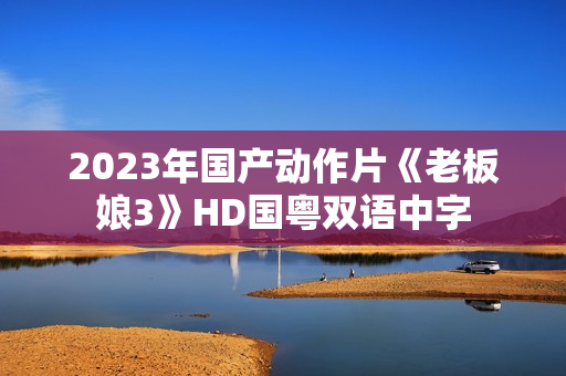 2023年国产动作片《老板娘3》HD国粤双语中字