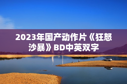 2023年国产动作片《狂怒沙暴》BD中英双字 2023年国产动作片《狂怒沙暴》BD中英双字