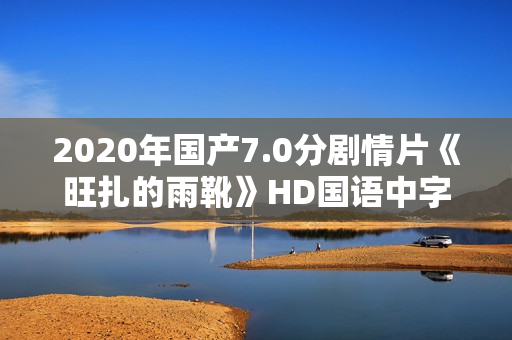 2020年国产7.0分剧情片《旺扎的雨靴》HD国语中字