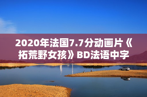 2020年法国7.7分动画片《拓荒野女孩》BD法语中字