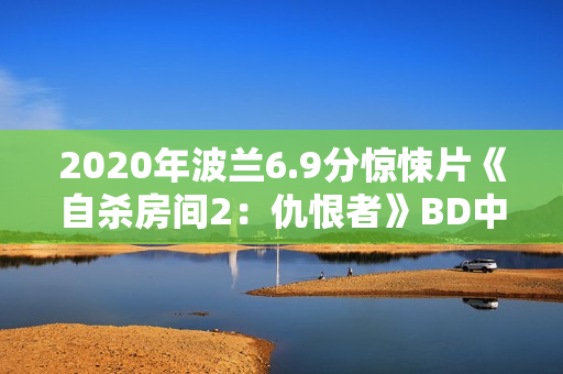 2020年波兰6.9分惊悚片《自杀房间2:仇恨者》BD中字 2020年波兰6.9分惊悚片《自杀房间2:仇恨者》BD中字