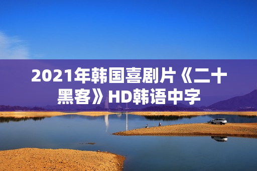 2021年韩国喜剧片《二十黑客》HD韩语中字 2021年韩国喜剧片《二十黑客》HD韩语中字