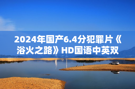 2024年国产6.4分犯罪片《浴火之路》HD国语中英双字 2024年国产6.4分犯罪片《浴火之路》HD国语中英双字