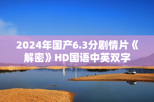 2024年国产6.3分剧情片《解密》HD国语中英双字