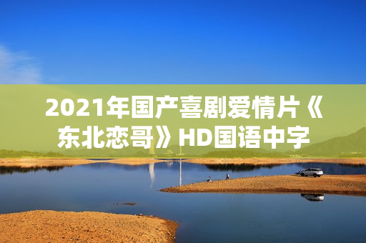 2021年国产喜剧爱情片《东北恋哥》HD国语中字