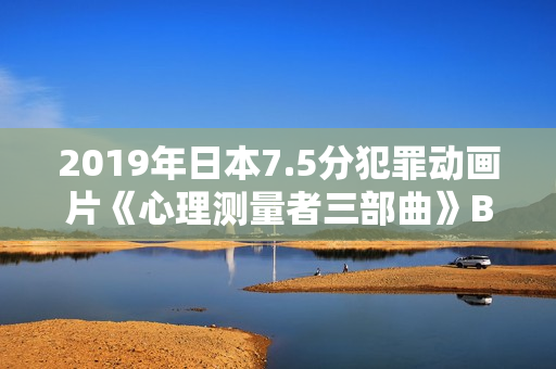 2019年日本7.5分犯罪动画片《心理测量者三部曲》BD日粤双语中字