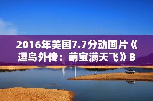 2016年美国7.7分动画片《逗鸟外传：萌宝满天飞》BD中英双字