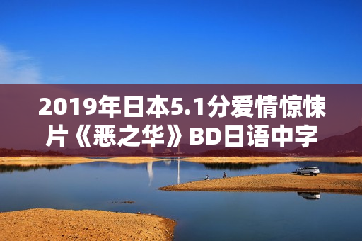 2019年日本5.1分爱情惊悚片《恶之华》BD日语中字