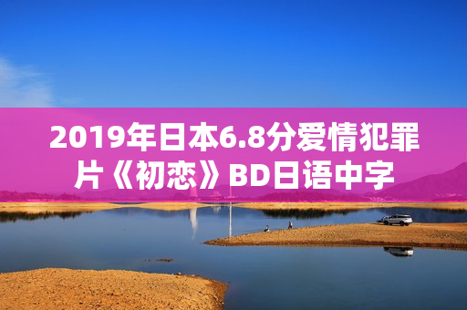 2019年日本6.8分爱情犯罪片《初恋》BD日语中字