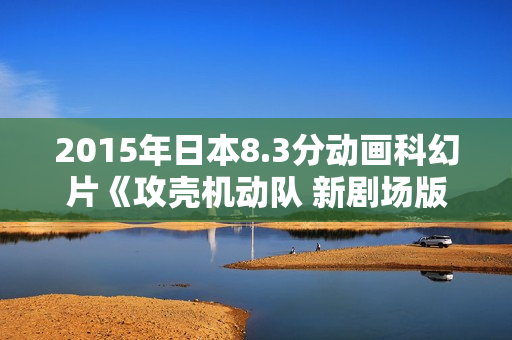 2015年日本8.3分动画科幻片《攻壳机动队 新剧场版》BD日语中字