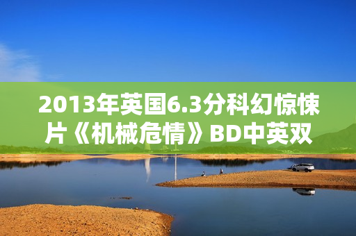 2013年英国6.3分科幻惊悚片《机械危情》BD中英双字