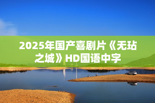 2025年国产喜剧片《无玷之城》HD国语中字