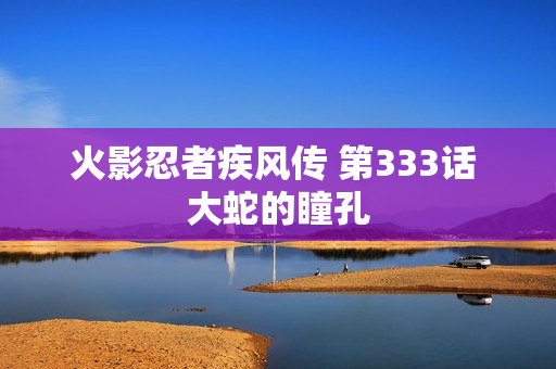 火影忍者疾风传 第333话 大蛇的瞳孔