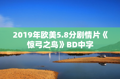 2019年欧美5.8分剧情片《惊弓之鸟》BD中字