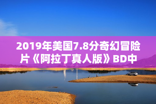 2019年美国7.8分奇幻冒险片《阿拉丁真人版》BD中英双字