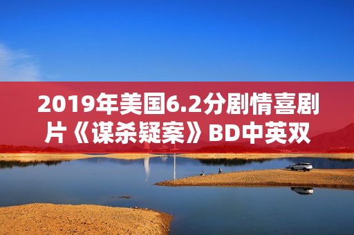 2019年美国6.2分剧情喜剧片《谋杀疑案》BD中英双字