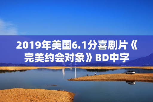 2019年美国6.1分喜剧片《完美约会对象》BD中字