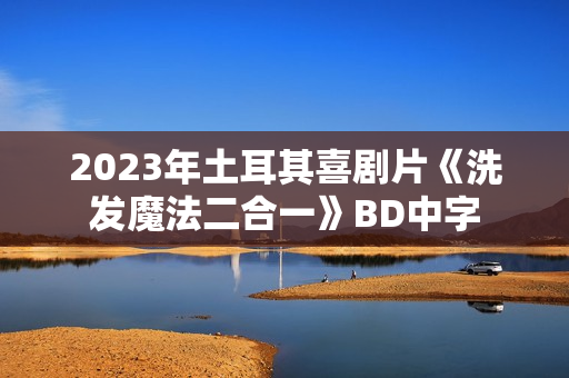 2023年土耳其喜剧片《洗发魔法二合一》BD中字