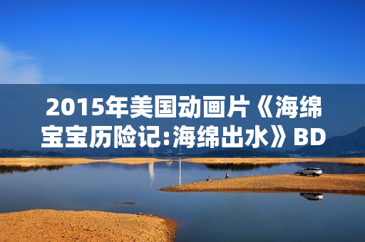 2015年美国动画片《海绵宝宝历险记:海绵出水》BD国粤英3语双字