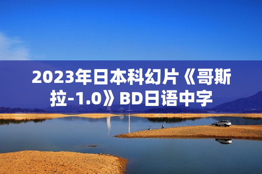 2023年日本科幻片《哥斯拉-1.0》BD日语中字