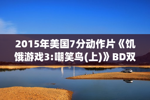 2015年美国7分动作片《饥饿游戏3:嘲笑鸟(上)》BD双语双字