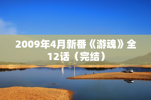 2009年4月新番《游魂》全12话（完结）