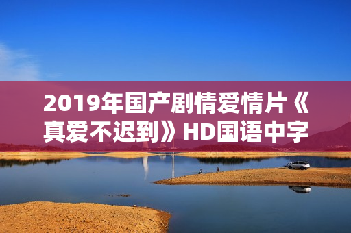 2019年国产剧情爱情片《真爱不迟到》HD国语中字