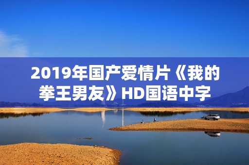 2019年国产爱情片《我的拳王男友》HD国语中字