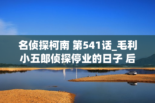 名侦探柯南 第541话_毛利小五郎侦探停业的日子 后篇