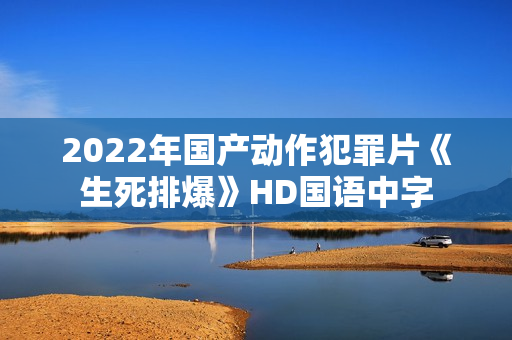 2022年国产动作犯罪片《生死排爆》HD国语中字