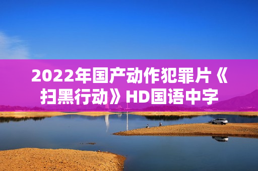 2022年国产动作犯罪片《扫黑行动》HD国语中字