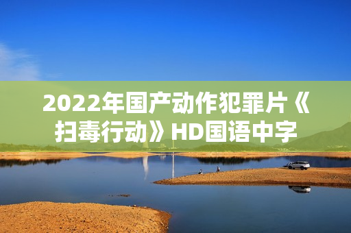 2022年国产动作犯罪片《扫毒行动》HD国语中字