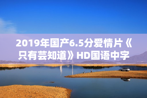 2019年国产6.5分爱情片《只有芸知道》HD国语中字修复版