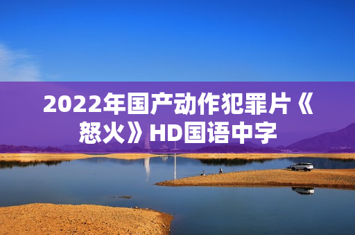2022年国产动作犯罪片《怒火》HD国语中字