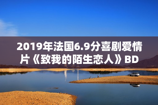 2019年法国6.9分喜剧爱情片《致我的陌生恋人》BD中字