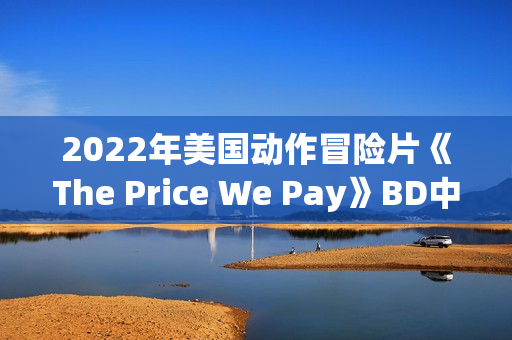 2022年美国动作冒险片《The Price We Pay》BD中英双字 2022年美国动作冒险片《The Price We Pay》BD中英双字