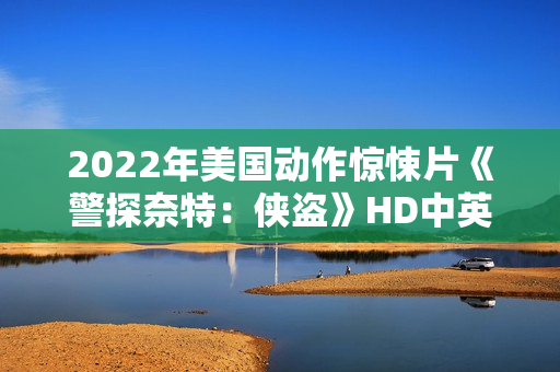 2022年美国动作惊悚片《警探奈特：侠盗》HD中英双字