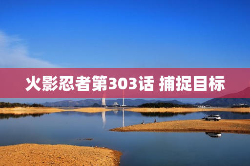 火影忍者第303话 捕捉目标