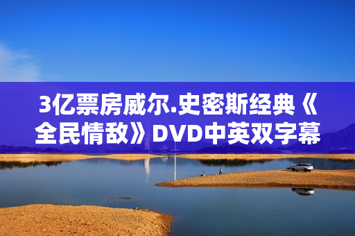 3亿票房威尔.史密斯经典《全民情敌》DVD中英双字幕